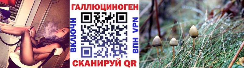 купить  сайты  Белореченск  Псилоцибиновые грибы Psilocybine cubensis 